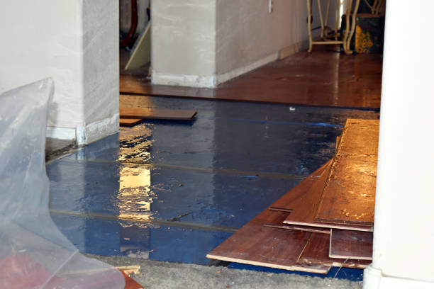 Professional Water Damage Restoration technician working in Marengo, IL